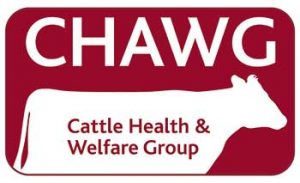 CHAWG. Cattle Health &.